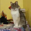 Отзыв от Инесса Агеева